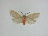  ( - 15-NCCC-046)  @12 [ ] Unspecified (default): All Rights Reserved  Unspecified Unspecified