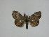  ( - 15-NCCC-104)  @11 [ ] Unspecified (default): All Rights Reserved  Unspecified Unspecified