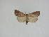  ( - 15-NCCC-121)  @13 [ ] Unspecified (default): All Rights Reserved  Unspecified Unspecified
