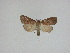 ( - 15-NCCC-122)  @13 [ ] Unspecified (default): All Rights Reserved  Unspecified Unspecified
