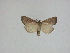  ( - 15-NCCC-123)  @13 [ ] Unspecified (default): All Rights Reserved  Unspecified Unspecified