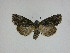  ( - 15-NCCC-143)  @13 [ ] Unspecified (default): All Rights Reserved  Unspecified Unspecified