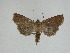  ( - 15-NCCC-152)  @13 [ ] Unspecified (default): All Rights Reserved  Unspecified Unspecified