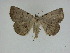  ( - 15-NCCC-165)  @11 [ ] Unspecified (default): All Rights Reserved  Unspecified Unspecified