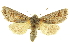  ( - CNCLEP00053383)  @11 [ ] CreativeCommons - Attribution (2014) CBG Photography Group Centre for Biodiversity Genomics