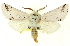  ( - CNCLEP00083813)  @13 [ ] CreativeCommons - Attribution (2014) CBG Photography Group Centre for Biodiversity Genomics