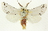  ( - CNCLEP00083814)  @11 [ ] CreativeCommons - Attribution (2014) CBG Photography Group Centre for Biodiversity Genomics