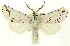  ( - CNCLEP00083816)  @11 [ ] CreativeCommons - Attribution (2014) CBG Photography Group Centre for Biodiversity Genomics