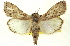  ( - CNCLEP00083828)  @14 [ ] CreativeCommons - Attribution (2014) CBG Photography Group Centre for Biodiversity Genomics