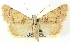  ( - CNCLEP00083850)  @13 [ ] CreativeCommons - Attribution (2014) CBG Photography Group Centre for Biodiversity Genomics