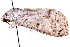  ( - CNCLEP00083873)  @13 [ ] CreativeCommons - Attribution (2014) CBG Photography Group Centre for Biodiversity Genomics