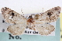  ( - CNCLEP00083915)  @14 [ ] CreativeCommons - Attribution (2014) CBG Photography Group Centre for Biodiversity Genomics
