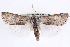  ( - CNCLEP00084024)  @14 [ ] CreativeCommons - Attribution (2014) CBG Photography Group Centre for Biodiversity Genomics