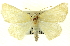  ( - CNCLEP00108467)  @15 [ ] CreativeCommons - Attribution (2014) CBG Photography Group Centre for Biodiversity Genomics