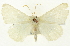  ( - CNCLEP00108470)  @14 [ ] CreativeCommons - Attribution (2014) CBG Photography Group Centre for Biodiversity Genomics