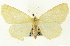  ( - CNCLEP00108471)  @11 [ ] CreativeCommons - Attribution (2014) CBG Photography Group Centre for Biodiversity Genomics