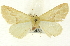  ( - CNCLEP00108482)  @14 [ ] CreativeCommons - Attribution (2014) CBG Photography Group Centre for Biodiversity Genomics