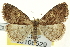  ( - CNCLEP00108529)  @14 [ ] CreativeCommons - Attribution (2014) CBG Photography Group Centre for Biodiversity Genomics