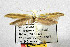  ( - CNCLEP00111714)  @12 [ ] CreativeCommons - Attribution Non-Commercial Share-Alike (2014) Giorgio Baldizzone Research Collection of Giorgio Baldizzone