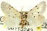  (Grotella harveyi - CNCLEP00113243.1)  @14 [ ] CreativeCommons - Attribution (2014) CBG Photography Group Centre for Biodiversity Genomics