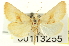  (Grotella vauriae - CNCLEP00113255)  @14 [ ] CreativeCommons - Attribution (2014) CBG Photography Group Centre for Biodiversity Genomics