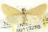  ( - CNCLEP00113258)  @11 [ ] CreativeCommons - Attribution (2014) CBG Photography Group Centre for Biodiversity Genomics