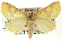  ( - CNCLEP00113294)  @14 [ ] CreativeCommons - Attribution (2014) CBG Photography Group Centre for Biodiversity Genomics