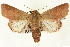  ( - CNCLEP00113328)  @15 [ ] CreativeCommons - Attribution (2014) CBG Photography Group Centre for Biodiversity Genomics