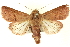  ( - CNCLEP00113329)  @14 [ ] CreativeCommons - Attribution (2014) CBG Photography Group Centre for Biodiversity Genomics