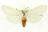  ( - CNCLEP00113430)  @15 [ ] CreativeCommons - Attribution (2014) CBG Photography Group Centre for Biodiversity Genomics