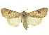  ( - CNCLEP00115977)  @15 [ ] CreativeCommons - Attribution (2014) CBG Photography Group Centre for Biodiversity Genomics