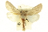  ( - CNCLEP00115984)  @14 [ ] CreativeCommons - Attribution (2014) CBG Photography Group Centre for Biodiversity Genomics