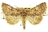  ( - CNCLEP00116047)  @11 [ ] CreativeCommons - Attribution (2014) CBG Photography Group Centre for Biodiversity Genomics