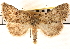  ( - CNCLEP00116047_rerun)  @11 [ ] CreativeCommons - Attribution (2014) CBG Photography Group Centre for Biodiversity Genomics