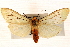  ( - CNCLEP00117746)  @11 [ ] CreativeCommons - Attribution (2014) CBG Photography Group Centre for Biodiversity Genomics