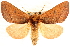  ( - CNCLEP00117784)  @14 [ ] CreativeCommons - Attribution (2014) CBG Photography Group Centre for Biodiversity Genomics