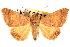  ( - CNCLEP00117791)  @11 [ ] CreativeCommons - Attribution (2014) CBG Photography Group Centre for Biodiversity Genomics