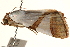  ( - CNCLEP00117842)  @12 [ ] CreativeCommons - Attribution (2014) CBG Photography Group Centre for Biodiversity Genomics