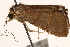  ( - CNCLEP00117856)  @12 [ ] CreativeCommons - Attribution (2014) CBG Photography Group Centre for Biodiversity Genomics