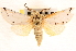  ( - CNCLEP00117941)  @11 [ ] CreativeCommons - Attribution (2014) CBG Photography Group Centre for Biodiversity Genomics