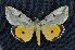  ( - CNCLEP 00113613)  @11 [ ] CreativeCommons - Attribution Non-Commercial Share-Alike (2016) Unspecified Unspecified