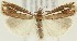  ( - MDH015808)  @11 [ ] CreativeCommons  Attribution (by) (2018) Daniel Handfield Unspecified