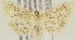  ( - MDH018423)  @11 [ ] CreativeCommons  Attribution (by) (2018) Daniel Handfield Unspecified