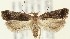  ( - MDH019002)  @11 [ ] CreativeCommons  Attribution (by) (2018) Daniel Handfield Unspecified