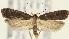  ( - MDH018360)  @11 [ ] CreativeCommons  Attribution (by) (2018) Daniel Handfield Unspecified