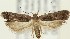  ( - MDH019000)  @11 [ ] CreativeCommons  Attribution (by) (2018) Daniel Handfield Unspecified