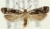  ( - MDH018999)  @11 [ ] CreativeCommons  Attribution (by) (2018) Daniel Handfield Unspecified