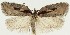  ( - MDH022756)  @11 [ ] CreativeCommons  Attribution (by) (2018) Daniel Handfield Unspecified
