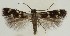  ( - MDH020704)  @11 [ ] CreativeCommons  Attribution (by) (2018) Daniel Handfield Unspecified