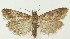  ( - MDH021924)  @11 [ ] CreativeCommons  Attribution (by) (2018) Daniel Handfield Unspecified